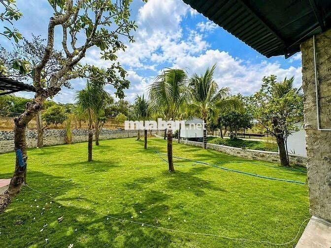 🌾 Chỉ từ 350TR sở hữu ngay lô đất trong khu Lúa Farmstay 🌾