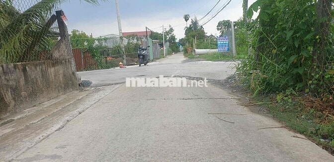 Cần tiền bán gấp đất đường Đinh Đức Thiện, Bình Chánh