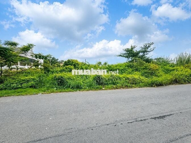 CHỦ NGỘP GIẢM SÂU – BÁN ĐẤT TRỒNG CÂY LÂU NĂM 679m² 