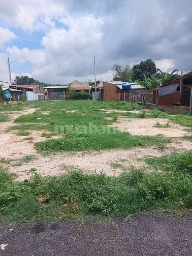 443m² ĐẤT CỦ CHI – NGANG 10M – Ô TÔ VÀO TẬN ĐẤT – CHỈ 1,15 TỶ