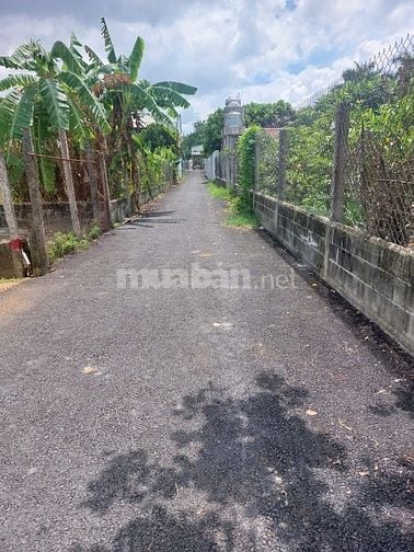 443m² ĐẤT CỦ CHI – NGANG 10M – Ô TÔ VÀO TẬN ĐẤT – CHỈ 1,15 TỶ