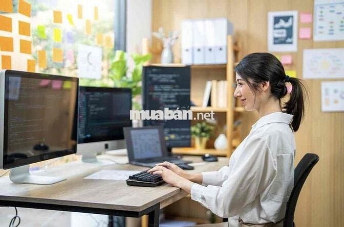 THỰC TẬP SINH - SINH VIÊN - IT SOFTWARE