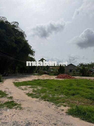 BÁN ĐẤT MẶT TIỀN ĐƯỜNG HUỲNH THỊ HƯƠNG ,TRẢNG BÀNG, TÂY NINH