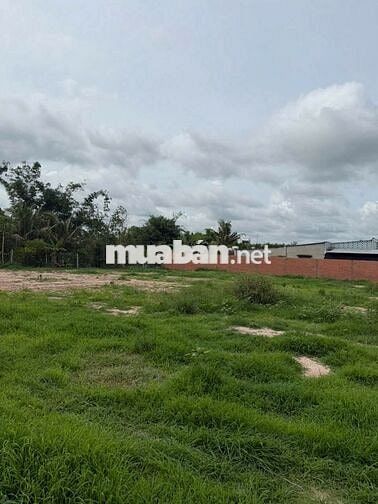 BÁN ĐẤT MẶT TIỀN ĐƯỜNG HUỲNH THỊ HƯƠNG ,TRẢNG BÀNG, TÂY NINH