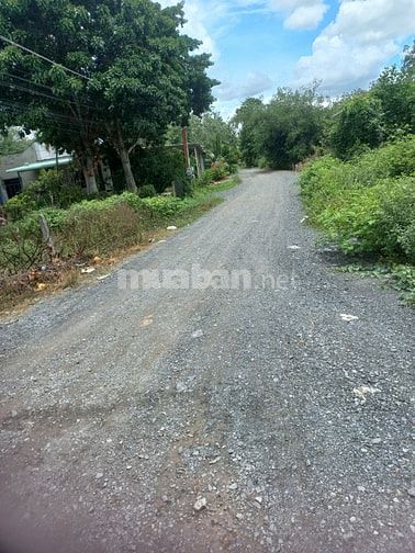 Cần bán đất tiện xây dựng nhà nhỏ cho Nhân viên gần công ty Can Sports