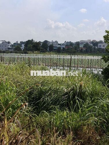 💥💥💥Đất đẹp hiệp an thủ dầu một
