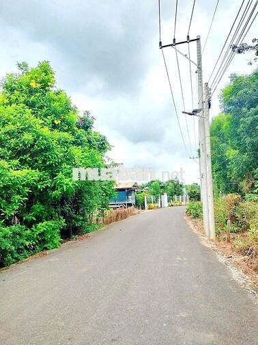 BÁN NGỘP LÔ 1150M2, CÓ SỔ SẴN, ĐƯỜNG OTO VÀO, GIÁ CHỈ 600TR