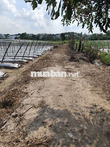 💥💥💥Đất đẹp hiệp an thủ dầu một