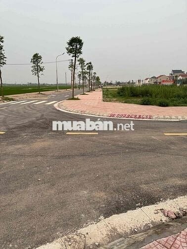 BÁN ĐẤT ĐẤU GIÁ HK04 YÊN LÃNG HÀ NỘI