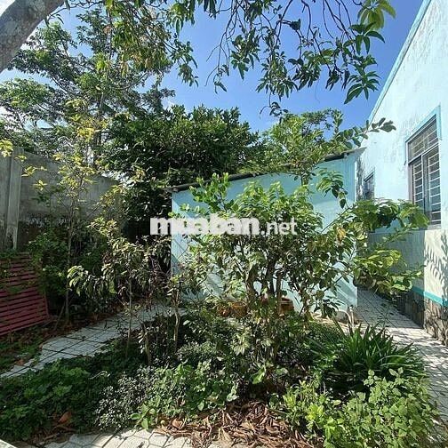 📢 Nhà giá rẻ Tân Thông Hội Củ Chi. Diện tích 121,1m2 - chốt 899 triệu