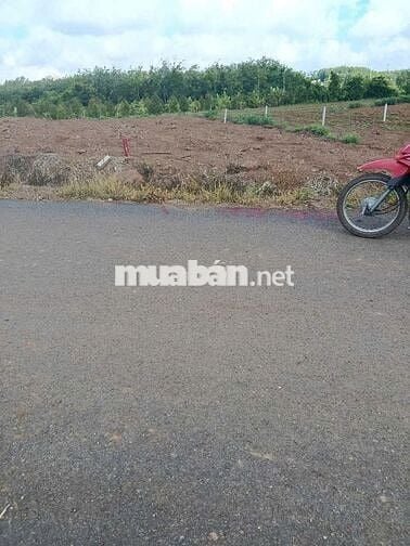 Chính chủ gửi bán lô đất - 318m2 ( 530Tr)