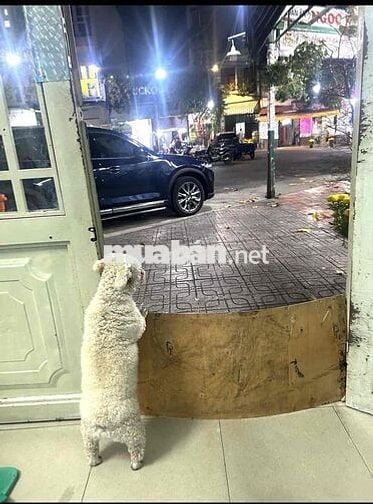 Phòng trọ vị trí đầy tiện ích nhưng giá HSSV