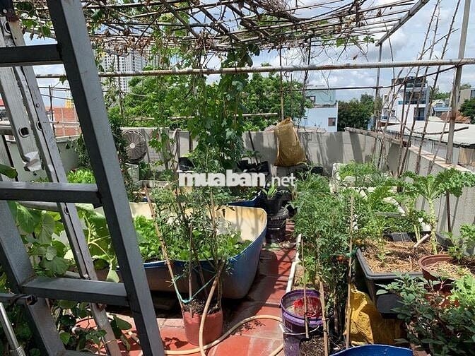 6 TỶ 5 - NHÀ NGUYỄN ĐỨC THIỆU DĨ AN - 3PN 235M2 + 10 PHÒNG TRỌ 12TR