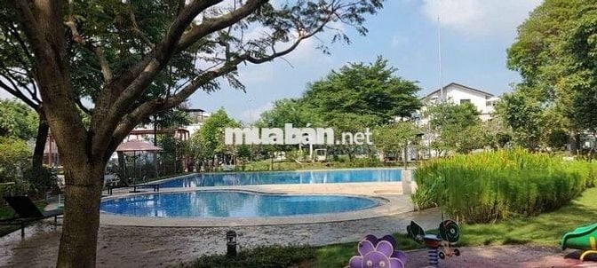 Cho thuê nhà phố Eco Xuân giá rẻ 12tr - 15tr/tháng. 3PN 3WC 5x20 1T 1L
