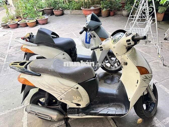 Honda @ 150 Trắng, Bạc