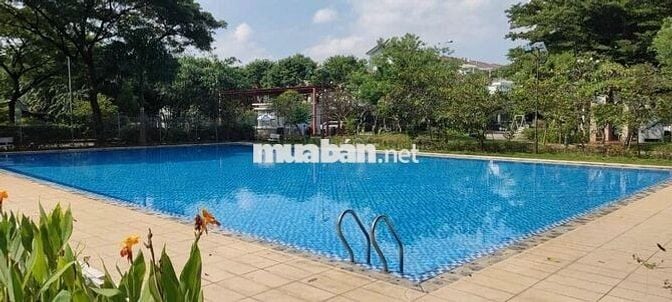 Cho thuê nhà phố Eco Xuân giá rẻ 12tr - 15tr/tháng. 3PN 3WC 5x20 1T 1L
