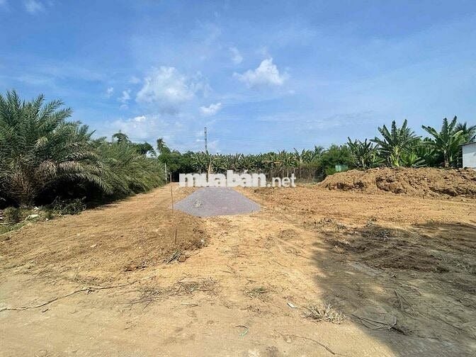 Đất Diên Phú Giáp Ranh Vĩnh Phương Chỉ 825 Triệu