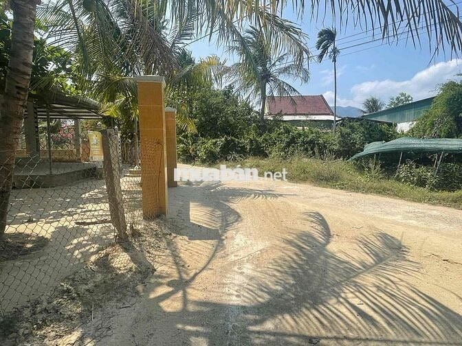 Đất Diên Phú Giáp Ranh Vĩnh Phương Chỉ 825 Triệu