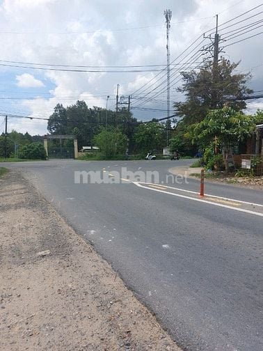 BÁN ĐẤT TÂN AN HỘI 279M², GẦN SƯ ĐOÀN 9 GIÁ CHỈ 1,29 TỶ