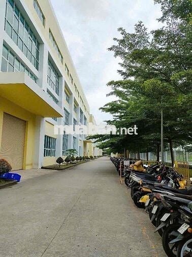 đi làm có thưởng tuần thưởng sinh nhật công ty
