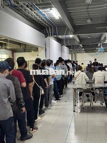 đi làm có thưởng tuần thưởng sinh nhật công ty