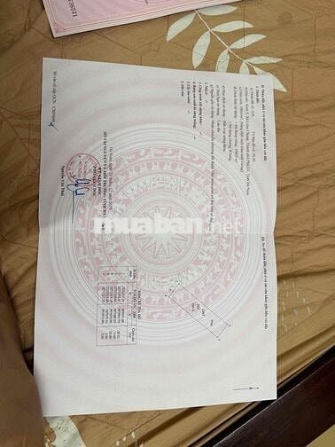 bán 200m đất tại khu đô thị Liêm Chung, phố Nguyễn Phúc Lai