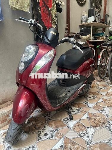 SYM Elite 50 Đỏ Xăng