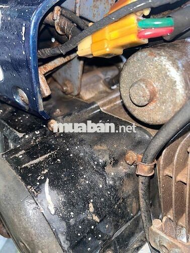 Honda Alpha 2003 Xanh đen
