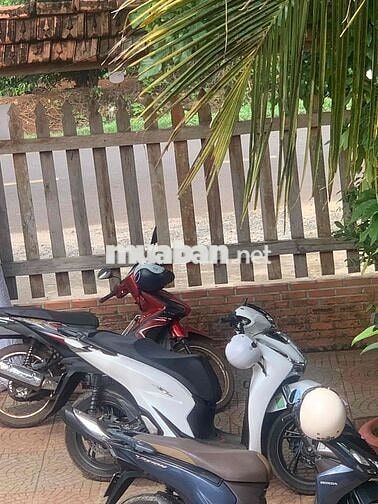 Honda SH 125i CBS 2023