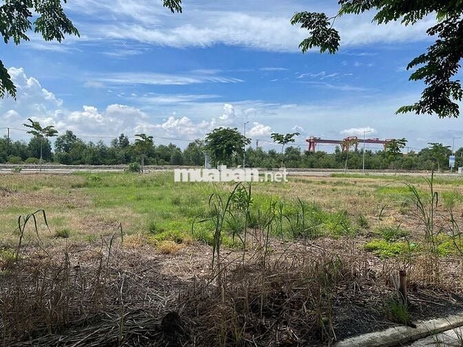 Bán đất 90m2 Dự án Ora Park Đức Hòa giá từ 1tỷ8, trả trước 20%, sổ sẵn