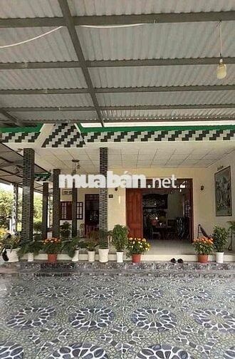 Cần bán miếng đất vườn sẵn thổ cư sẵn nhà cấp 4 sổ hồng riêng