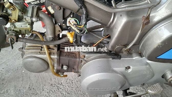 cub 70cc biển số 64