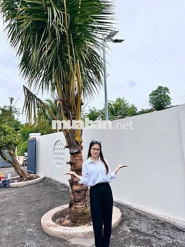 TOP NHÀ NGANG RỘNG HƠN 12M ngay tại P.Long Khánh