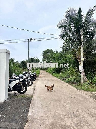 TOP NHÀ NGANG RỘNG HƠN 12M ngay tại P.Long Khánh