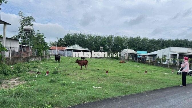 Lô đất ngay khu vực Thái Mỹ , Củ Chi. MTĐ 12m , sổ sẵn
