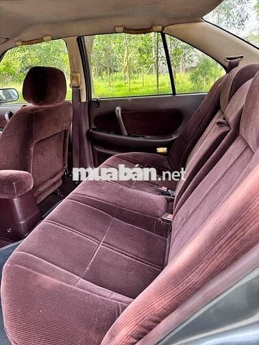 Nissan Maxima Cọp