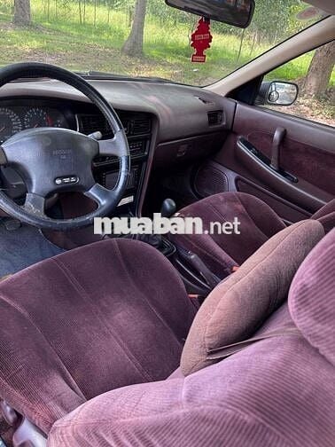 Nissan Maxima Cọp
