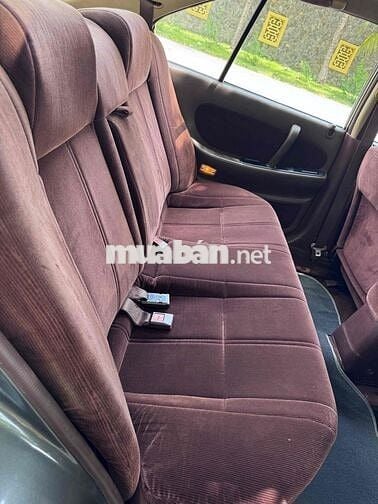 Nissan Maxima Cọp