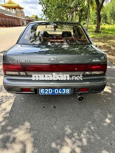 Nissan Maxima Cọp