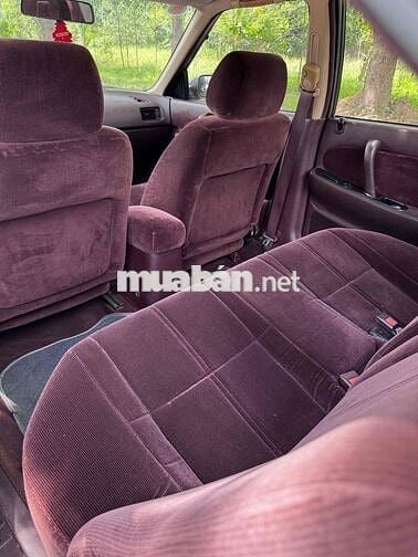 Nissan Maxima Cọp