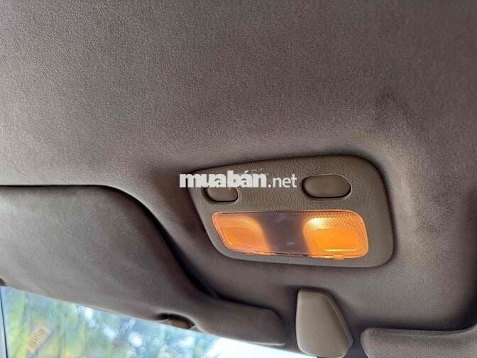 Nissan Maxima Cọp