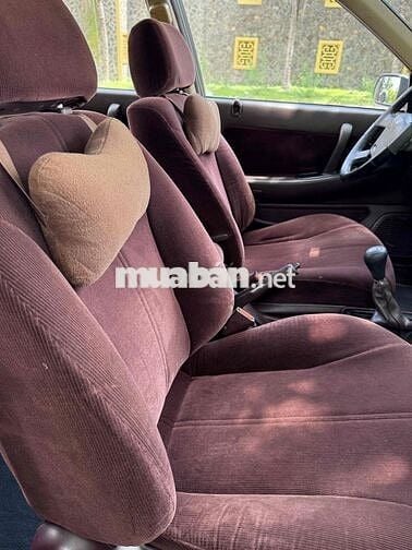 Nissan Maxima Cọp