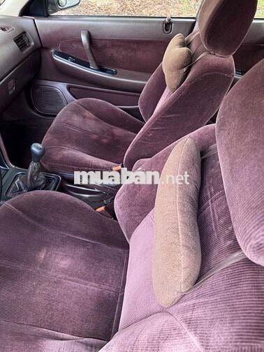 Nissan Maxima Cọp