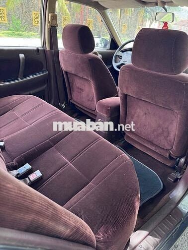 Nissan Maxima Cọp