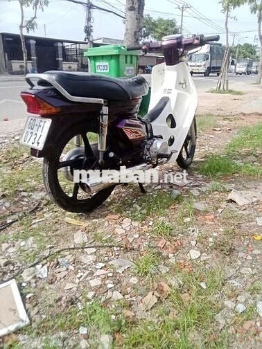 Honda Dream 50cc Trắng Tím