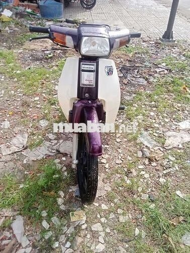 Honda Dream 50cc Trắng Tím