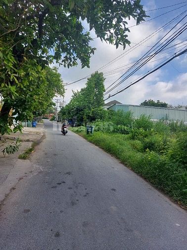 545 TRIỆU SỞ HỮU NGAY 155m² ĐẤT CỦ CHI - CƠ HỘI CHO NGƯỜI NHÌN XA