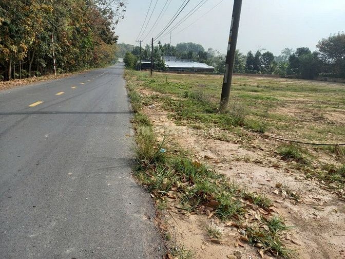 545 TRIỆU SỞ HỮU NGAY 155m² ĐẤT CỦ CHI - CƠ HỘI CHO NGƯỜI NHÌN XA