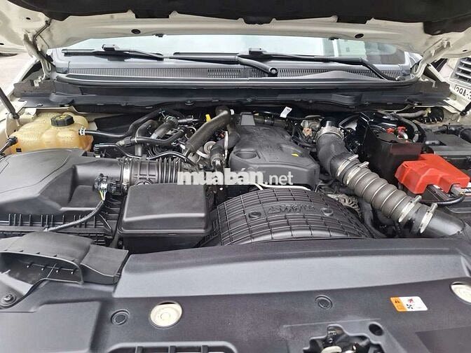 Ford Ranger Wildtrak 4x4 2019 Trắng 90000 km