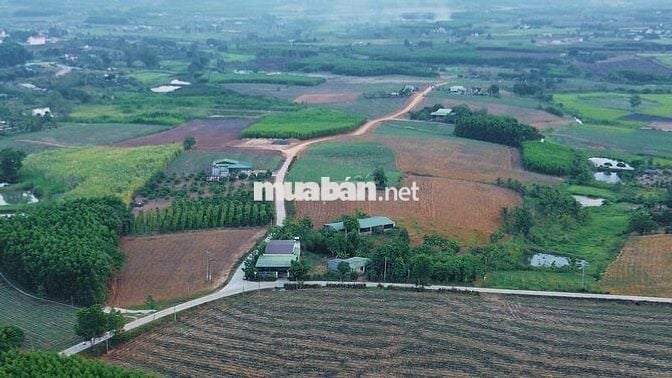 🔥 BÁN QUỸ ĐẤT ĐẸP TẠI KRÔNG Á – M'DRẮK – ĐẮK LẮK 🔥